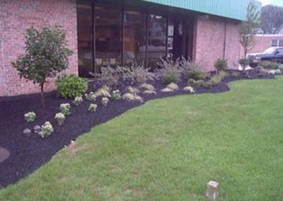 Commercial Planting Bed