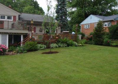 Home Backyard Replant