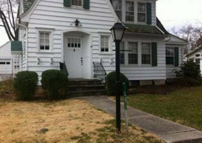 Home Plant Pruning - After