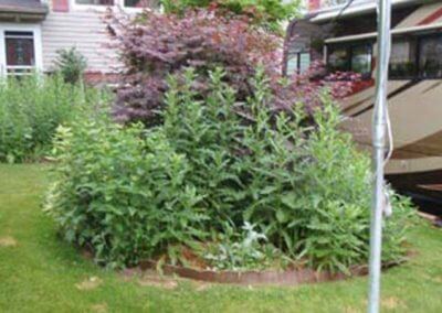 Front Yard Bed Needing Mulching