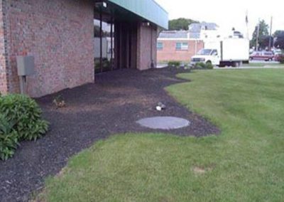 Commercial Planting Bed Needing Improvement