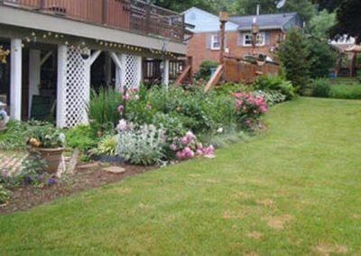 Backyard Plant Bed Needing Work