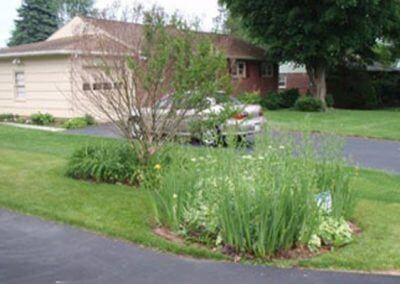 Tree Blocking Driveway View