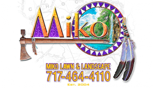 Miko Logo