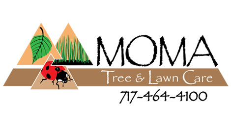 Moma Tree & Lawn Care
