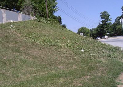 Roadside Trimming Complete