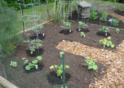 Improved Garden Area Complete and Planted