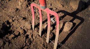 Garden Fork in Dirt