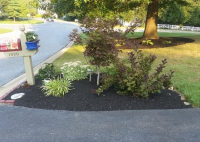 Improved Home Landscaping