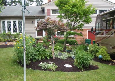 Improved Flower Bed Mulched and Replanted