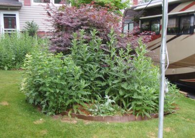 Poor Flower Bed Before