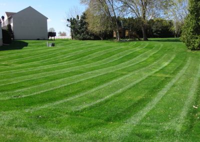 Professional Striped Lawn