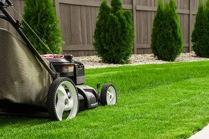 Mowing Grass with Push Mower