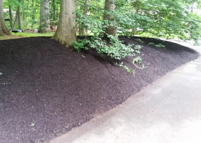 Mulched Road Bank